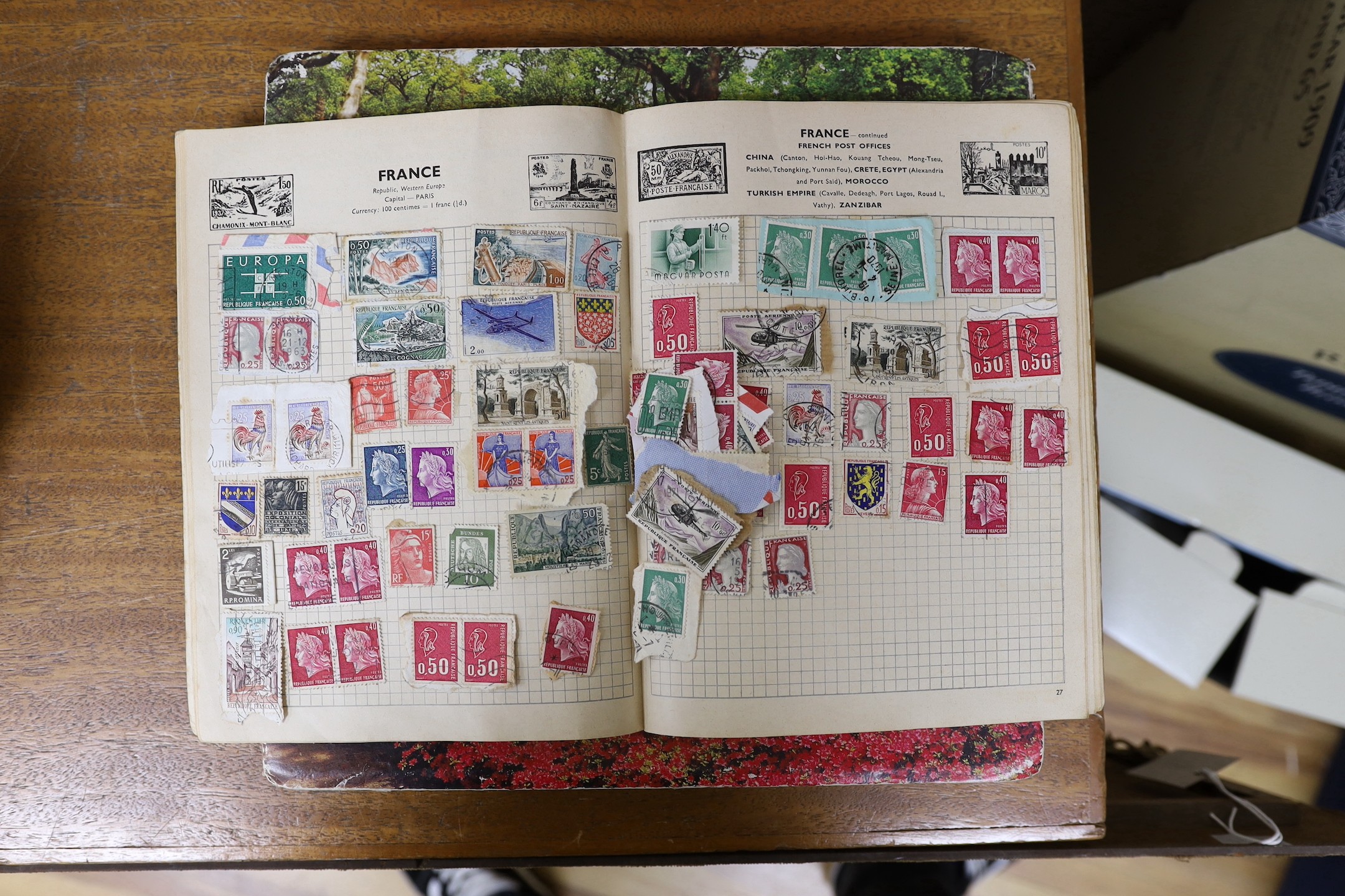 Six albums of World stamps and a box of loose stamps